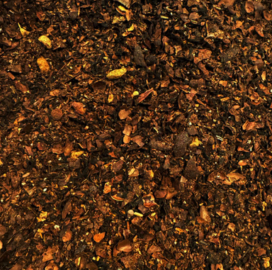 The Quiet Botanist Cacao Chai Tea - Homebody Denver