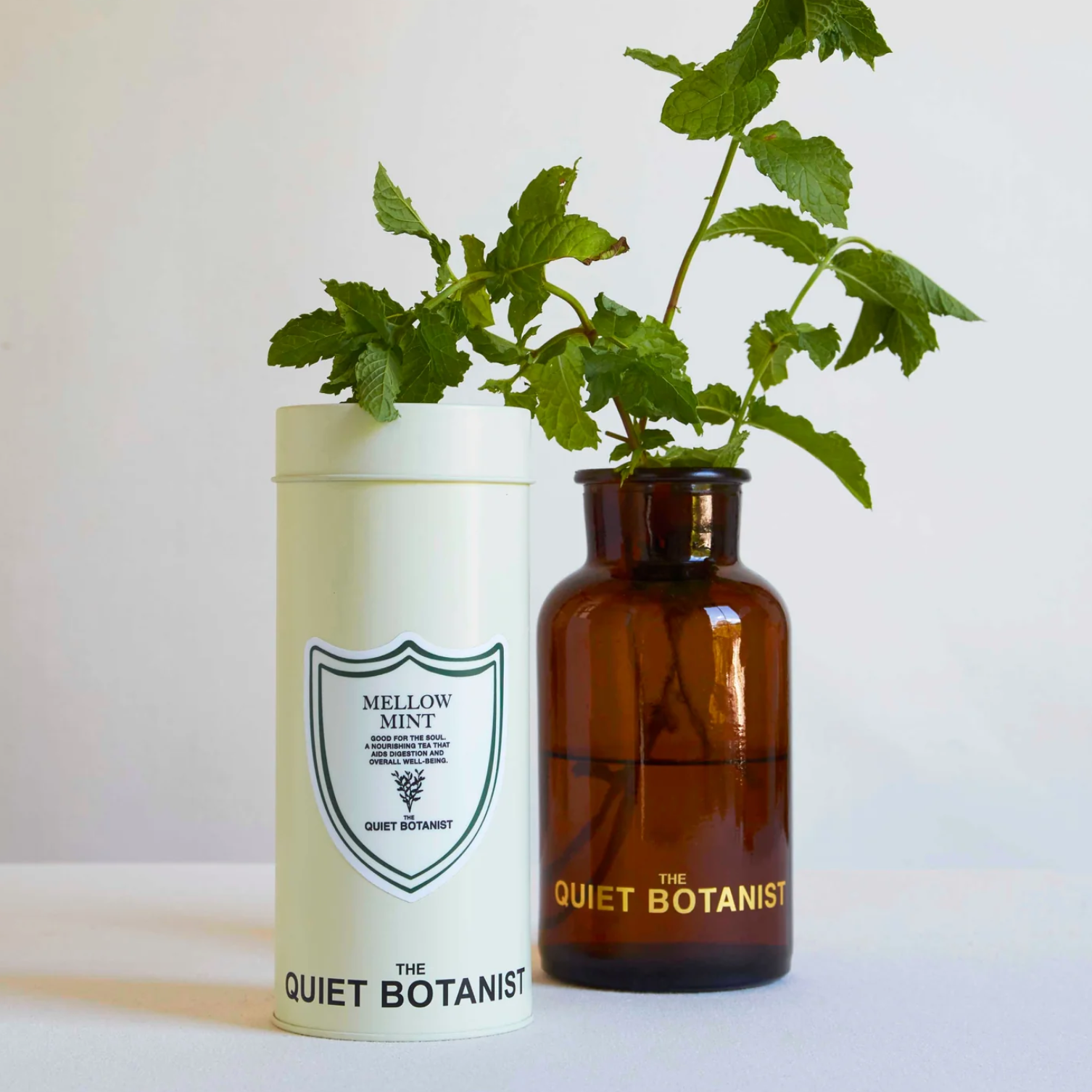 The Quiet Botanist Mellow Mint Tea Tin - Homebody Denver