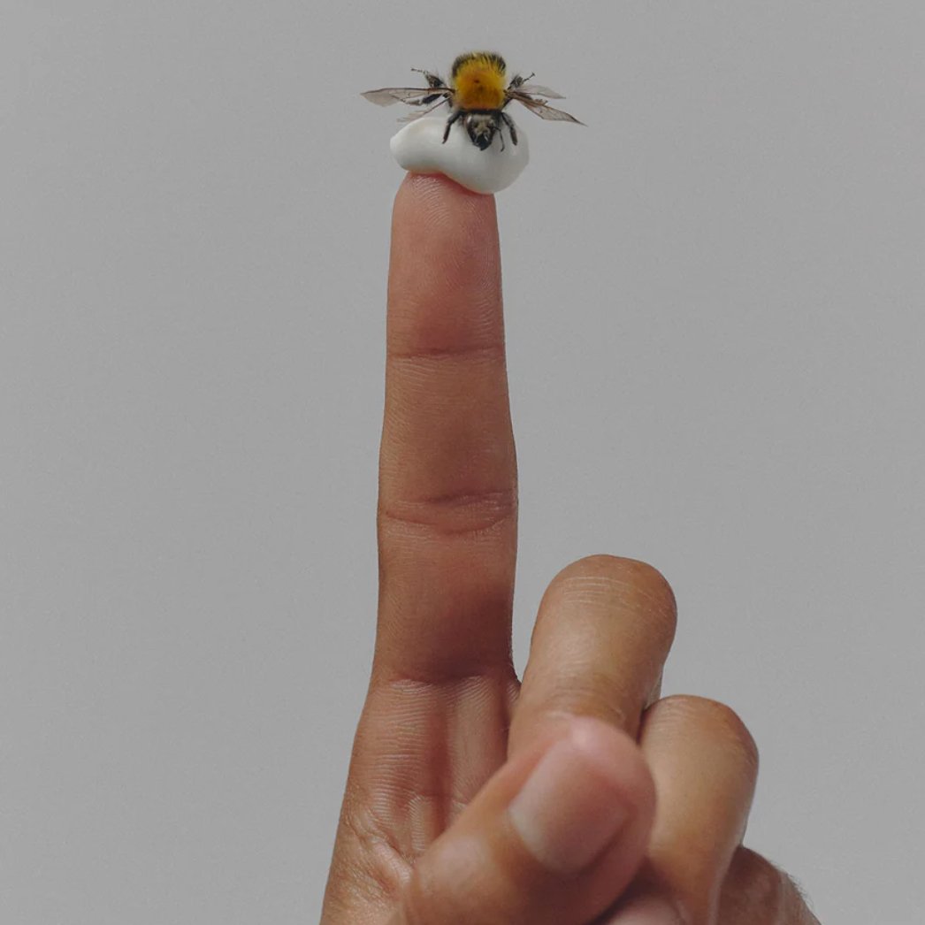 Manuka Rich Cream 2.5oz. - Homebody Denver