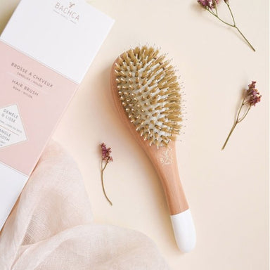Bachca Hairbrush - Homebody Denver