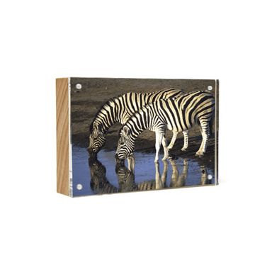 Canetti Prestige Magnetic Frame