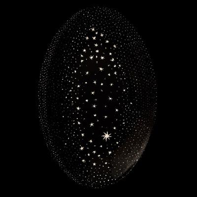 Astier de Villatte, John Derian Oval Constellation Platter - Homebody Denver