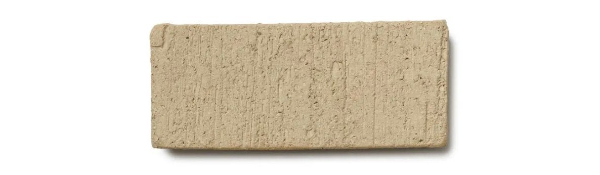 Atlantis Organic Low Oval Ceramic Flower Pot 24"dia. - Homebody Denver