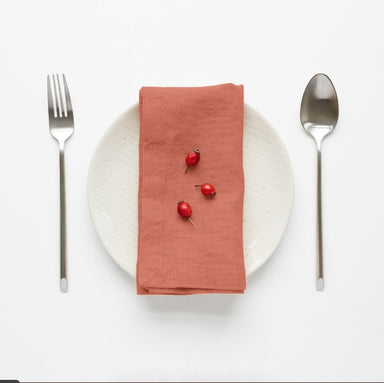 Set of 4 Solid Lithuanian Linen Napkins - Homebody Denver