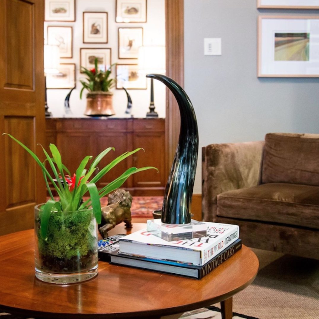 Set of Two Medium Brown/White Horns - Homebody Denver