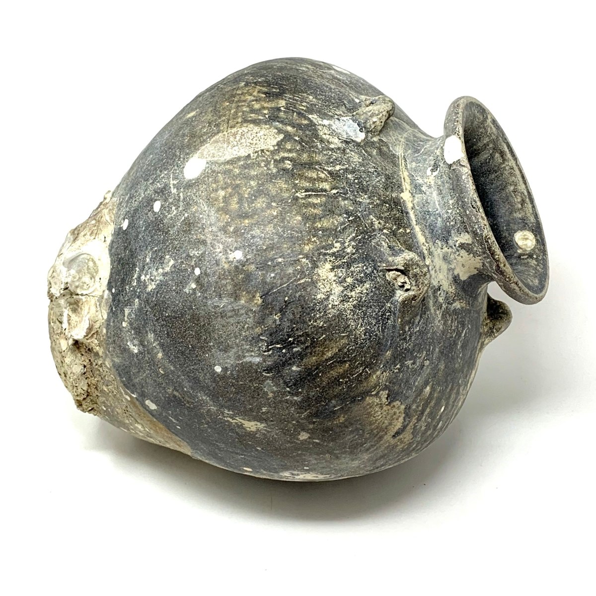 Thai Jars with Mussels 17th century - Homebody Denver