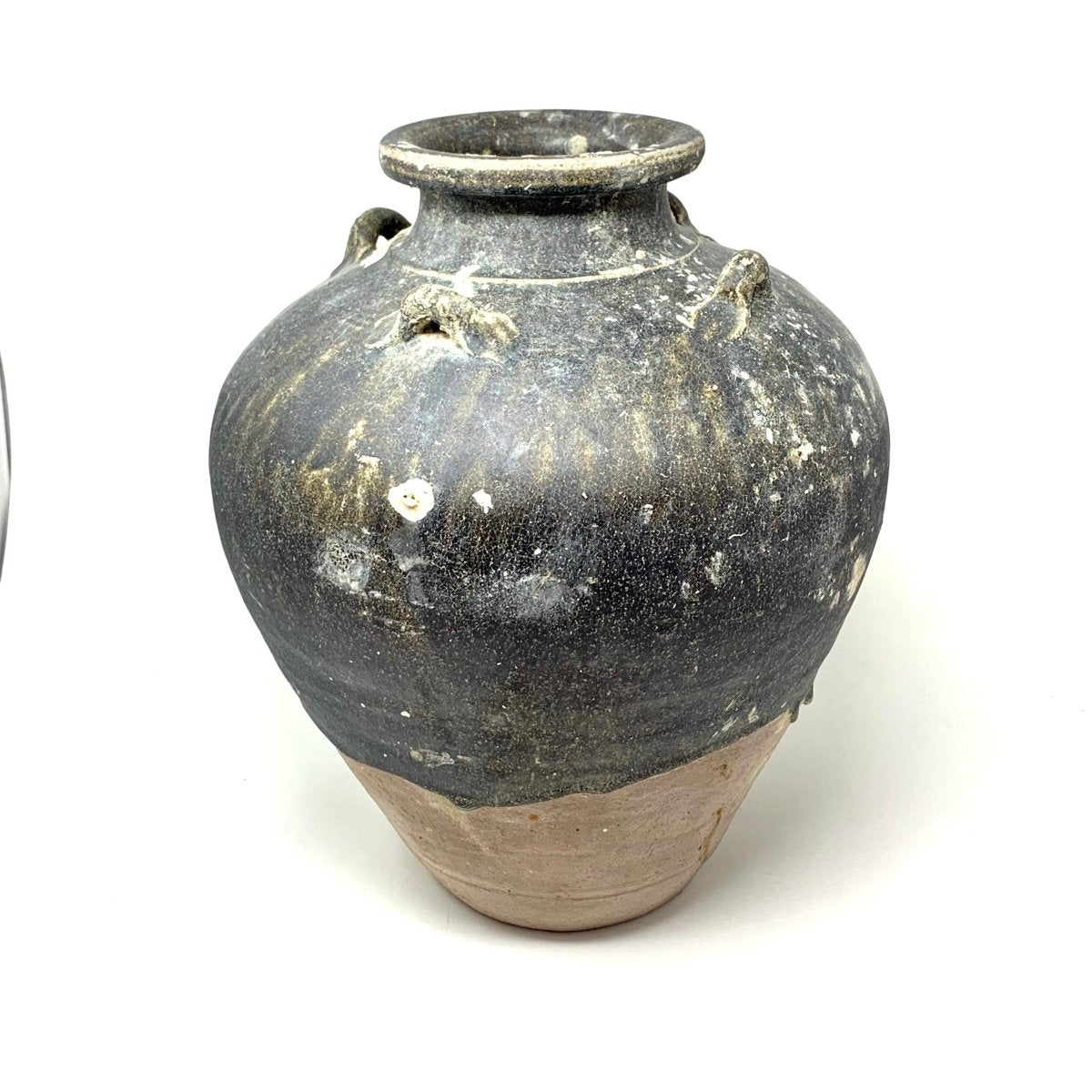 Thai Jars with Mussels 17th century - Homebody Denver