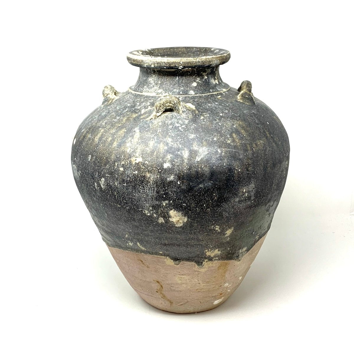 Thai Jars with Mussels 17th century - Homebody Denver