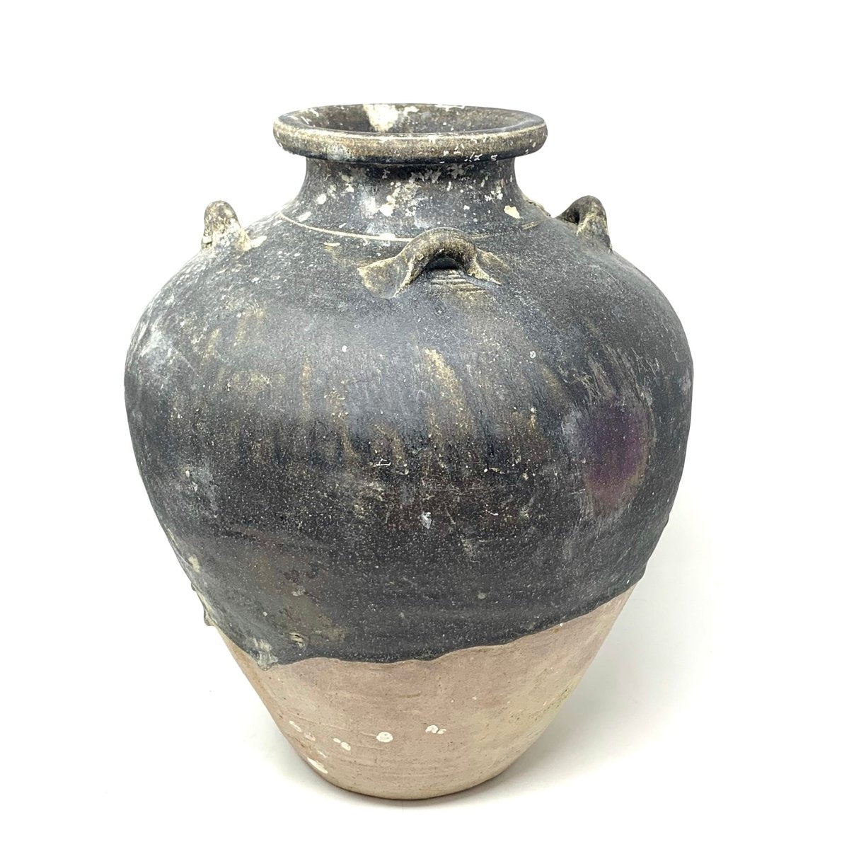 Thai Jars with Mussels 17th century - Homebody Denver