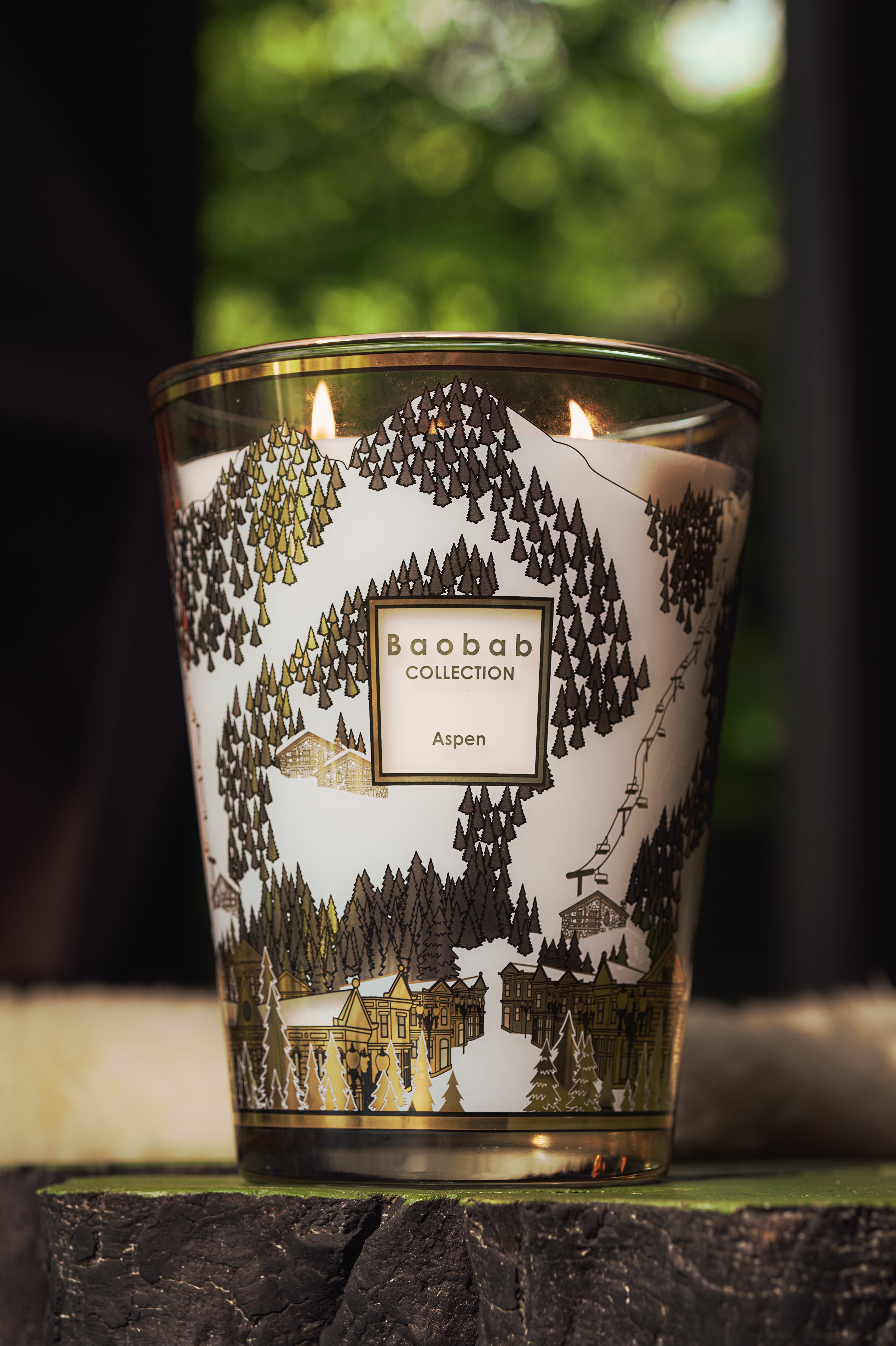 Baobab Collection Max 24 Aspen Candle