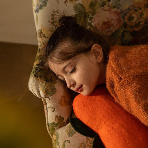 Felted Wool Clementine Cushion 13" x 12"