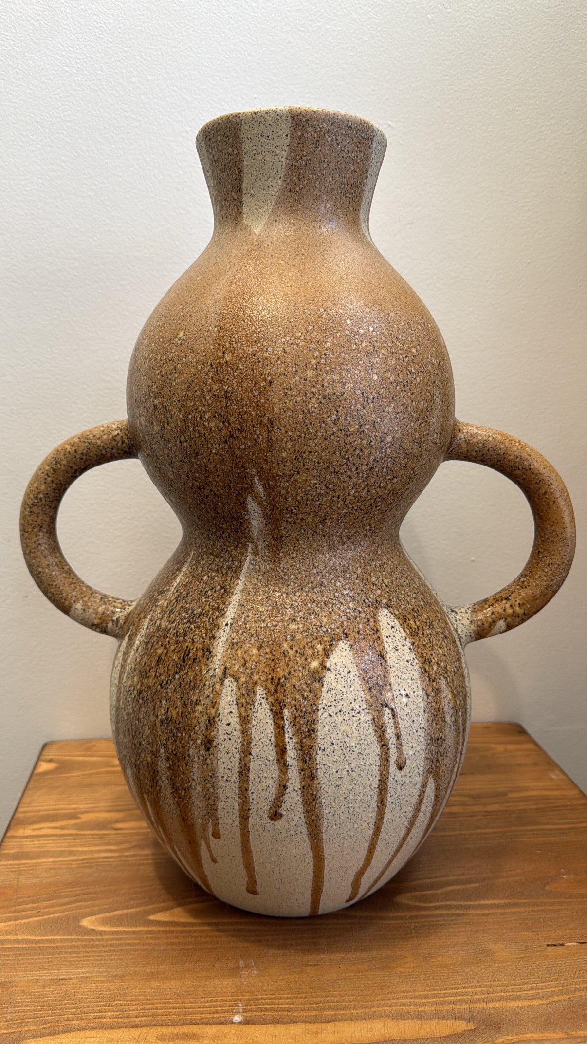Curvy Ceramic Vase with Two Handles