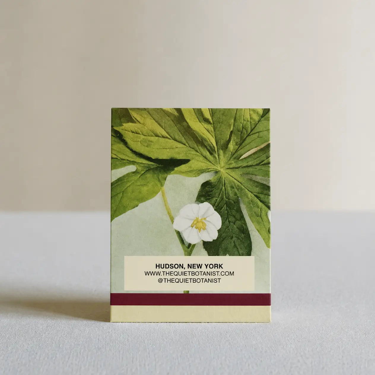 The Quiet Botanist Botanical Matches