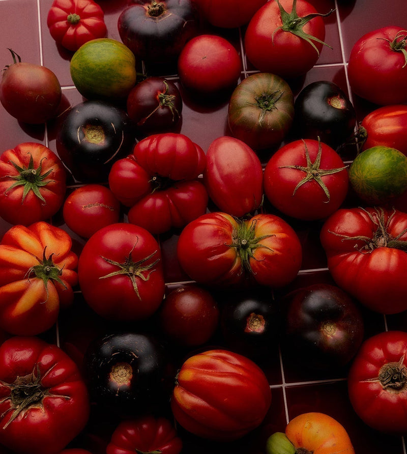 Flamingo Estate XL Candle in Gift Box 26 oz.