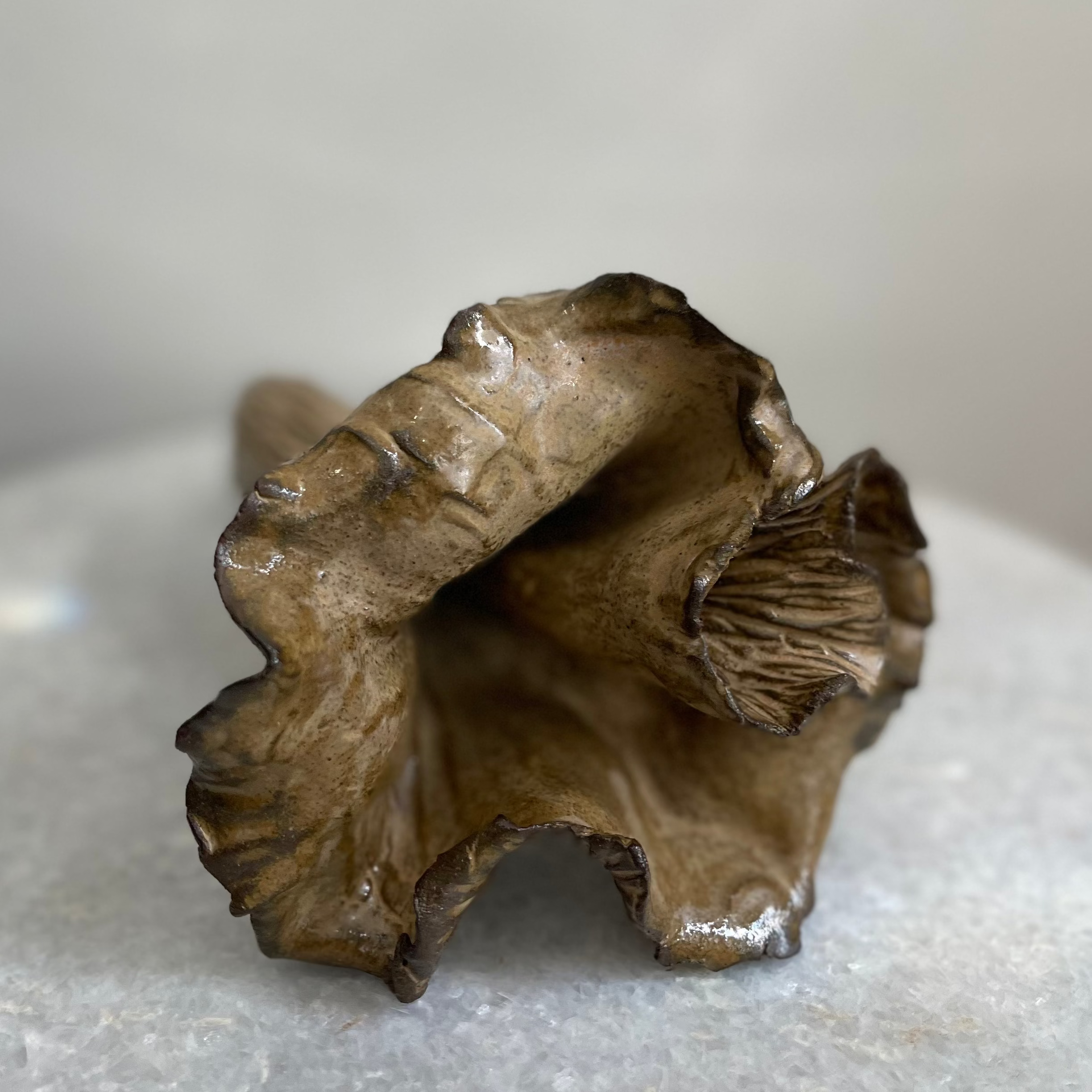 Handmade Ceramic Chanterelle Mushroom #4
