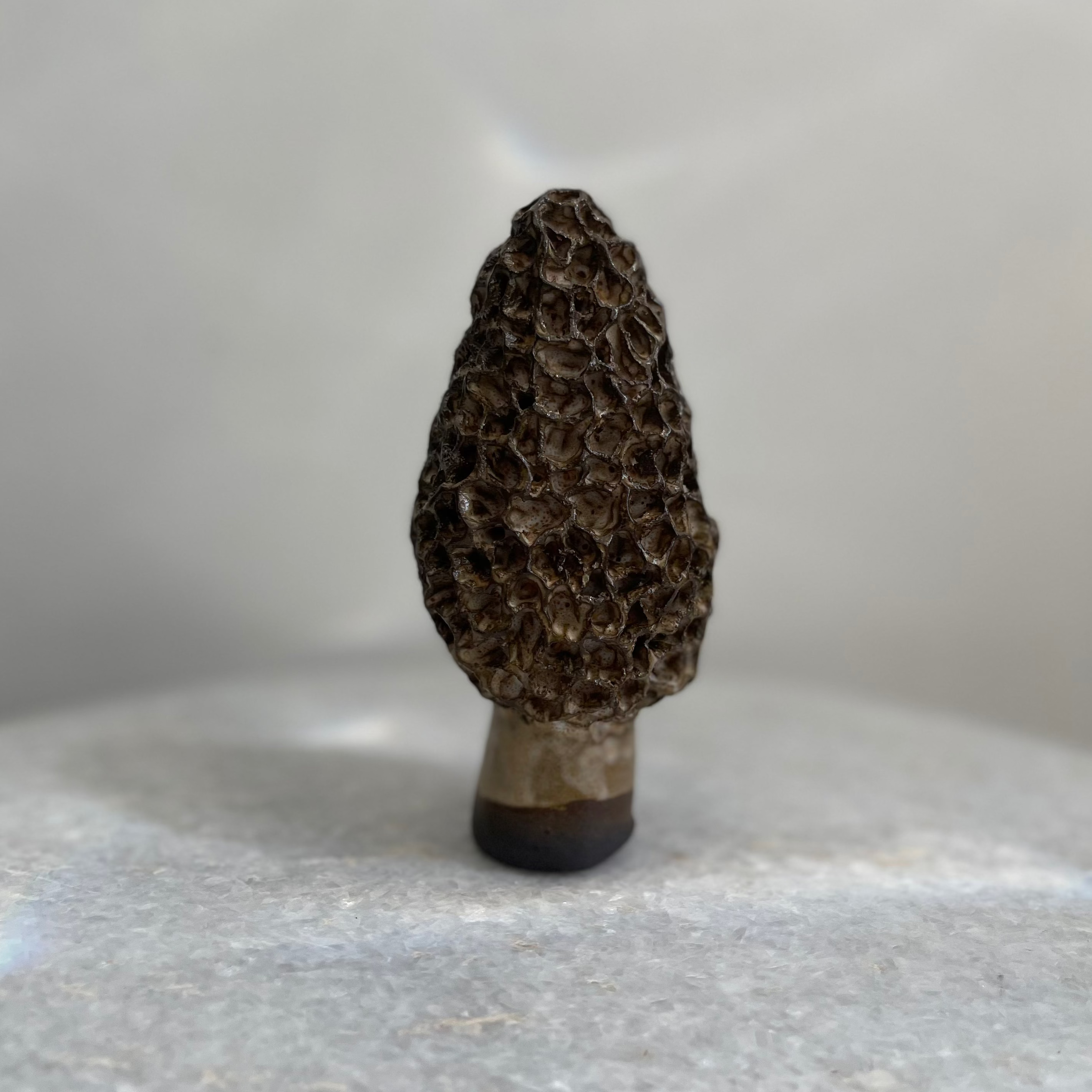 Handmade Ceramic Morel Mushroom Sculpture #1