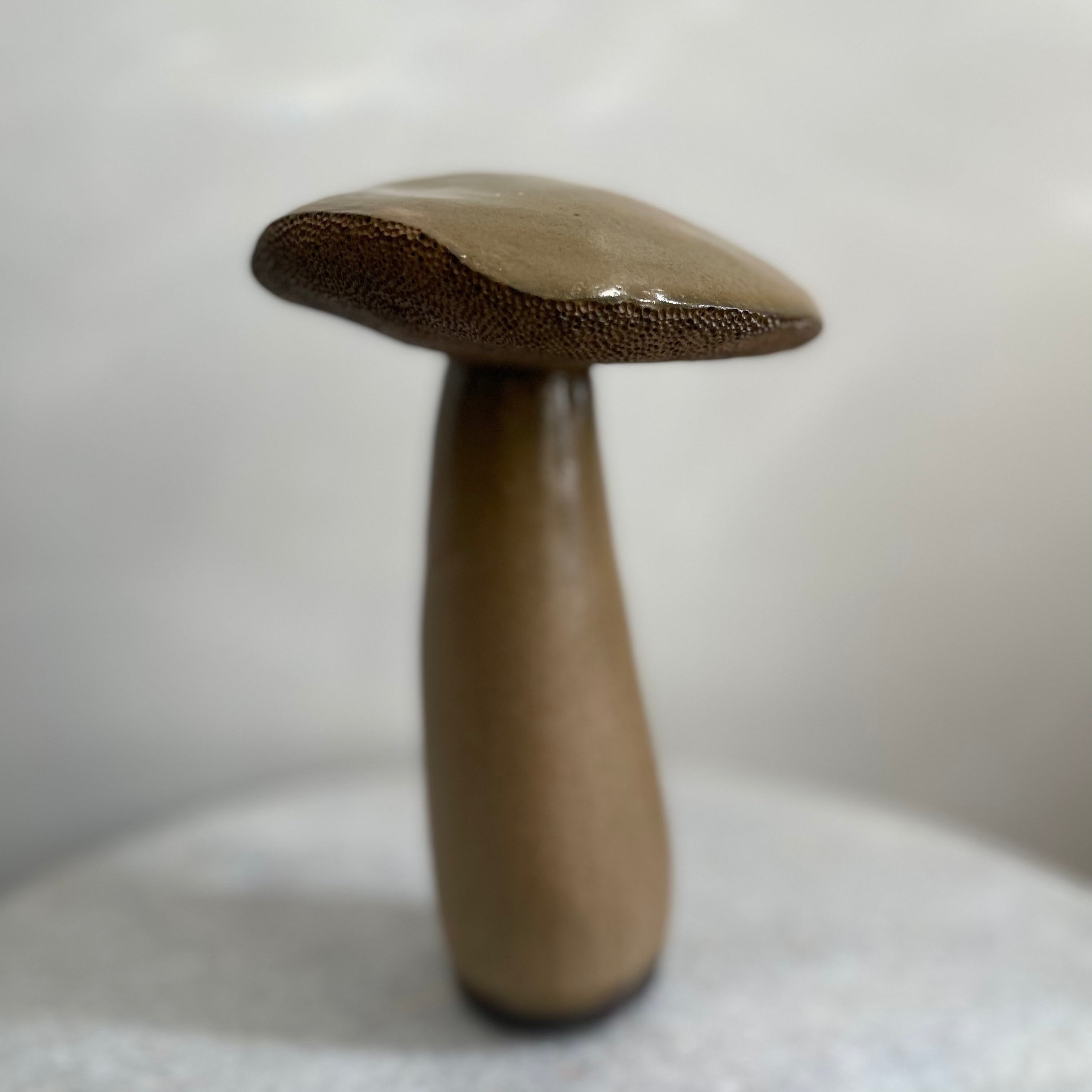 Handmade Ceramic Porcini Mushroom #5