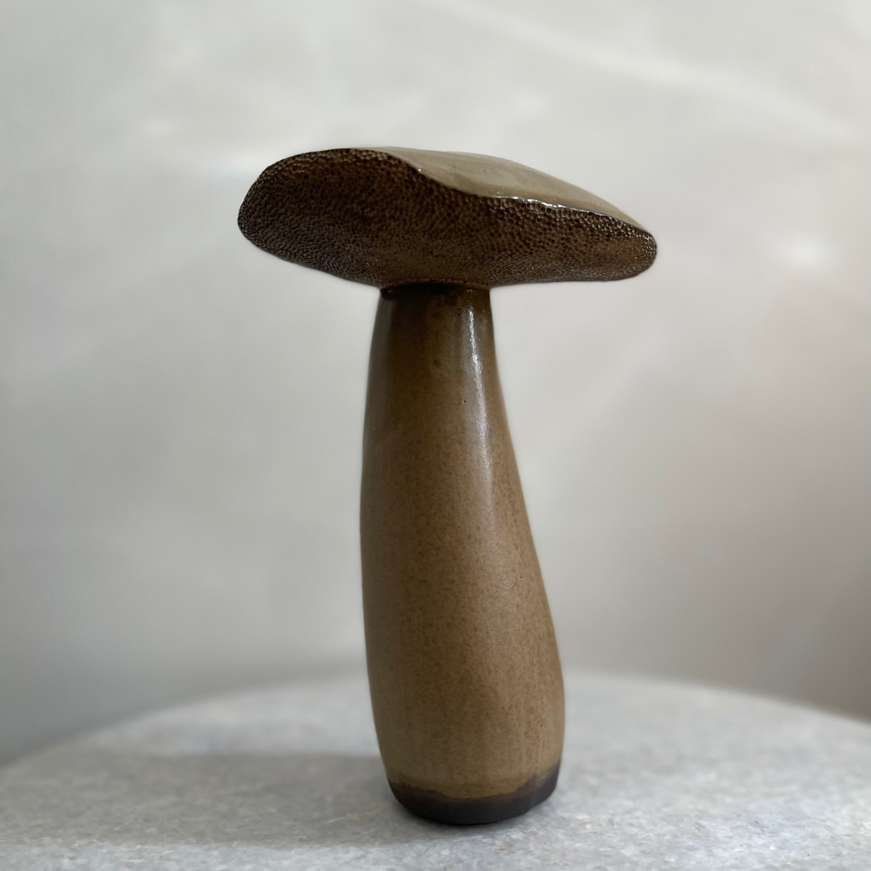 Handmade Ceramic Porcini Mushroom #5