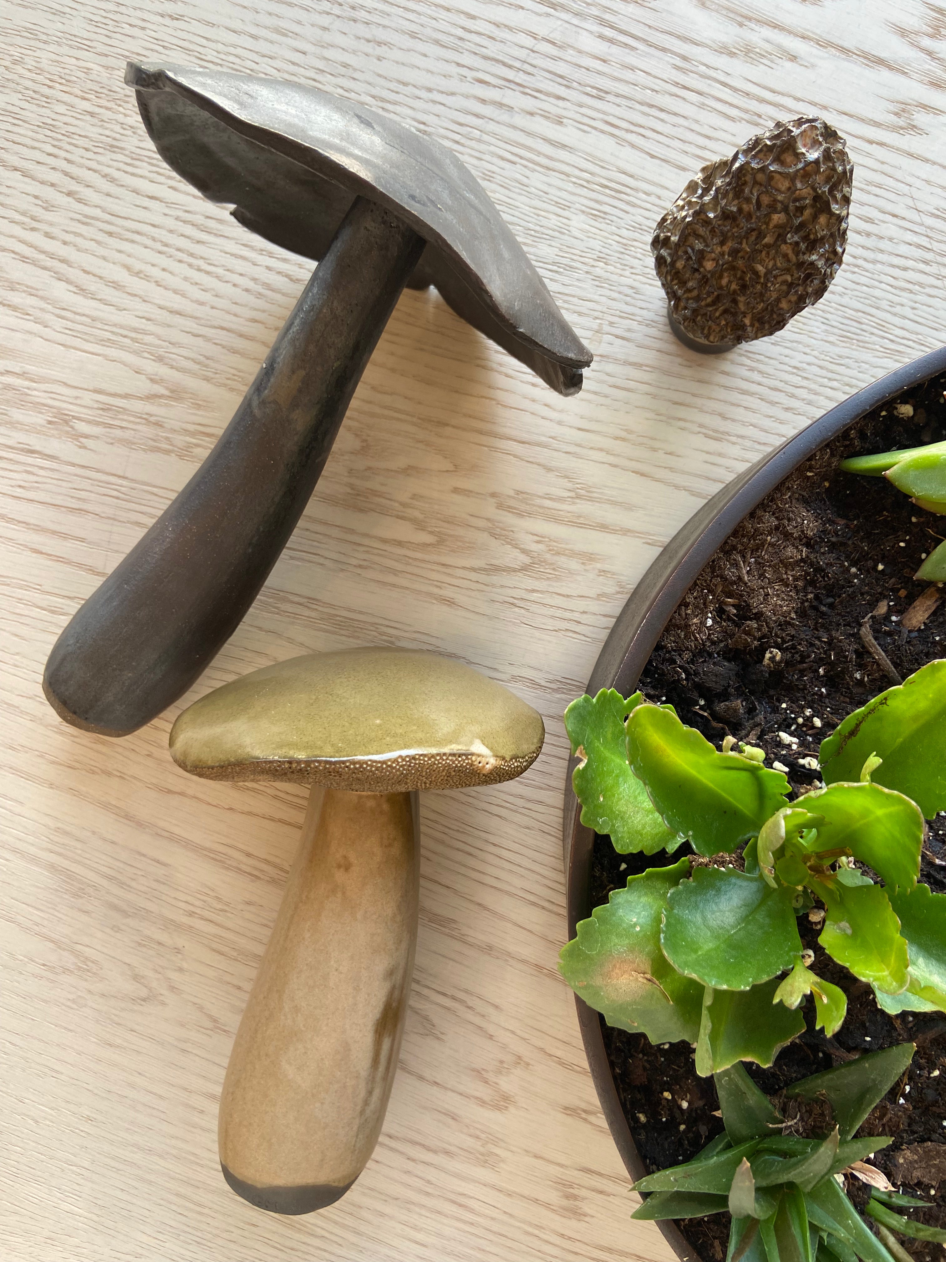 Handmade Ceramic Morel Mushroom Sculpture #1