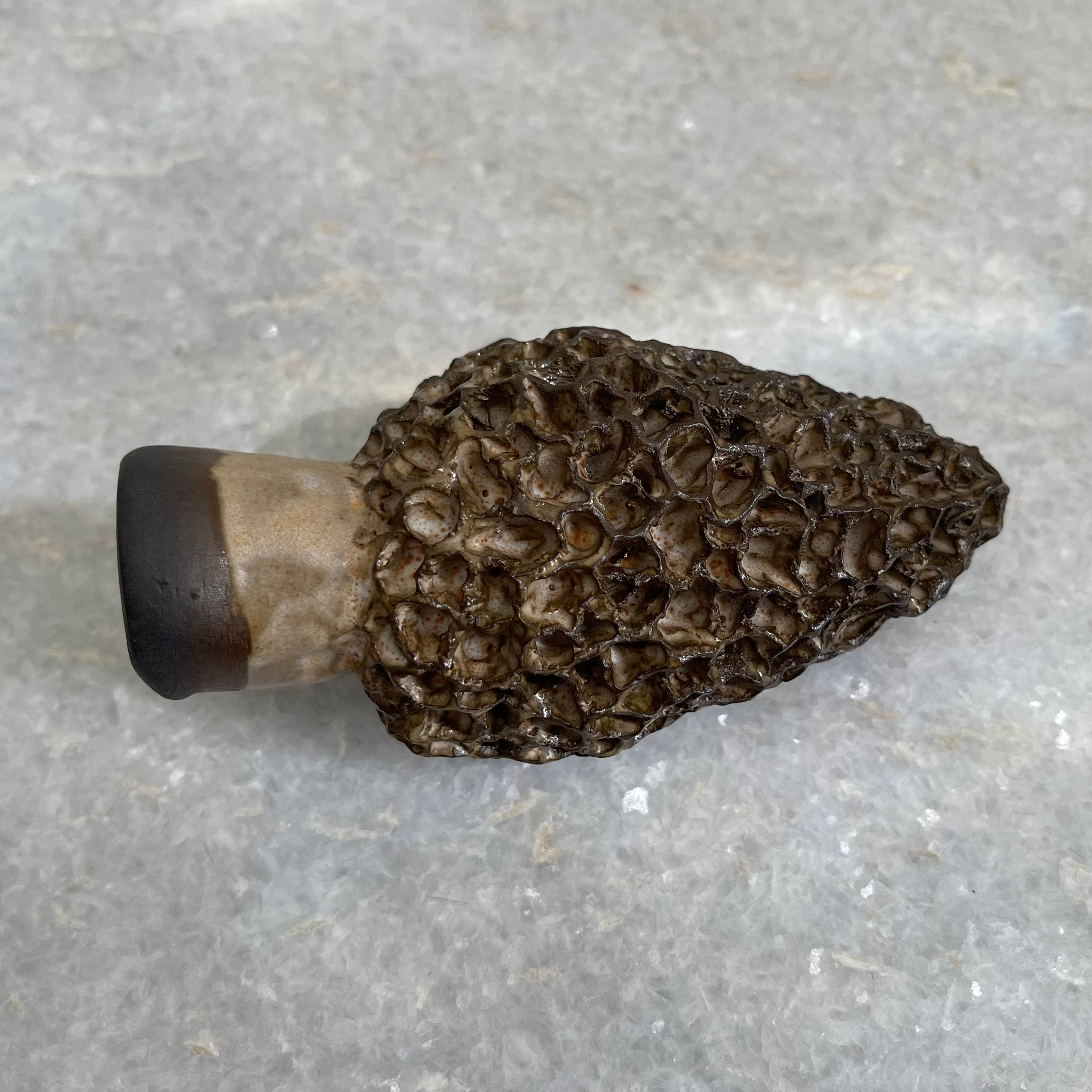 Handmade Ceramic Morel Mushroom Sculpture #1