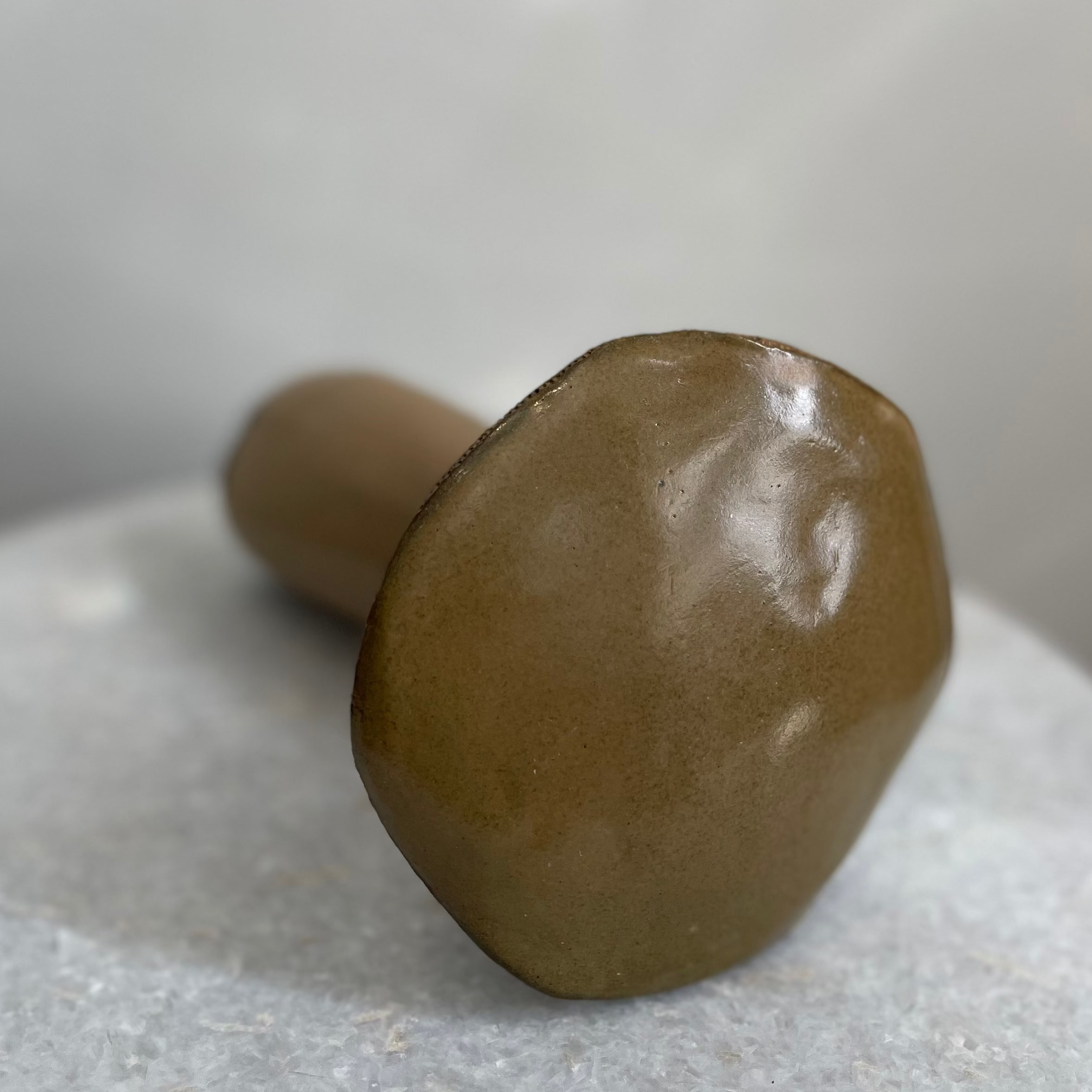 Handmade Ceramic Porcini Mushroom #5