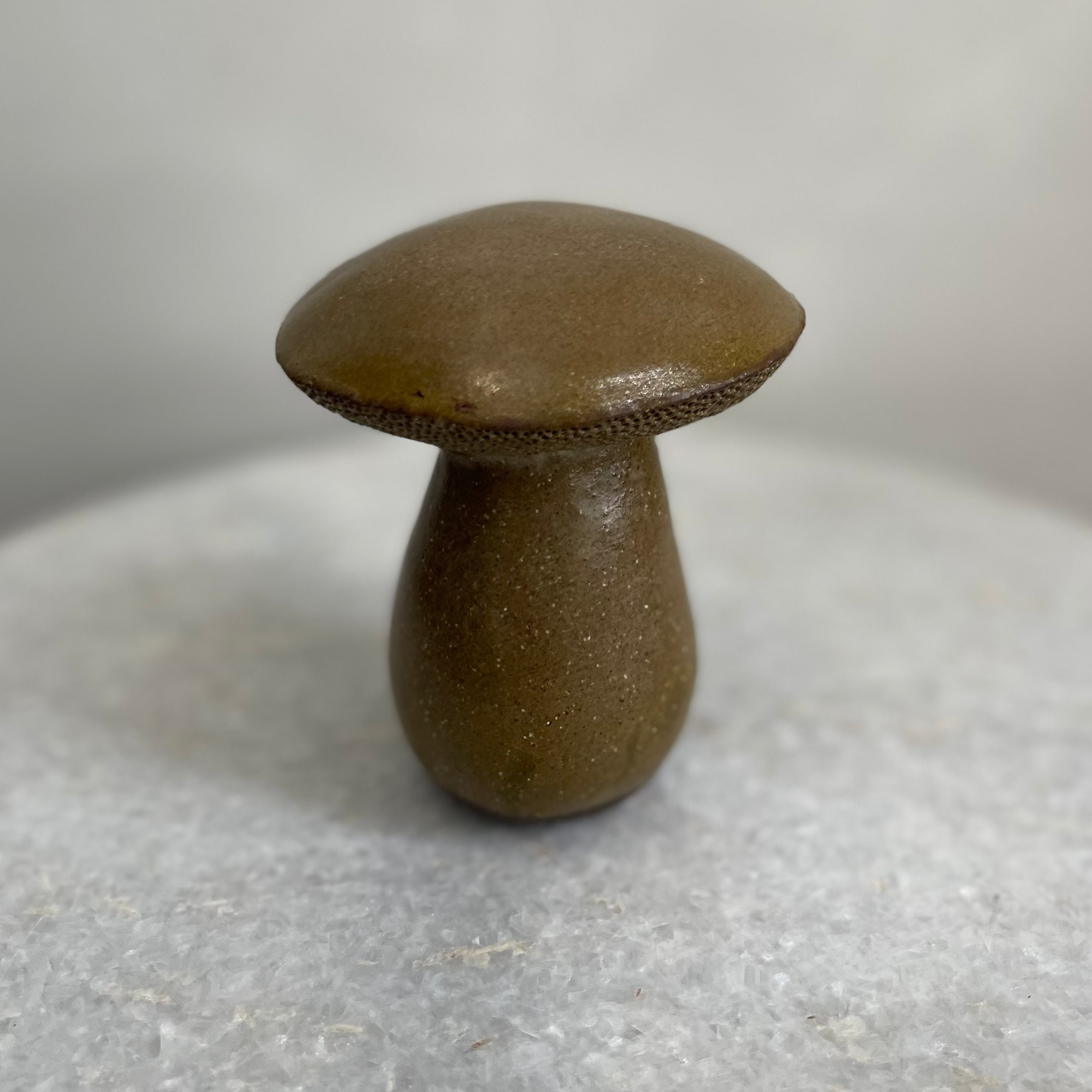 Handmade Ceramic Porcini Mushroom #7
