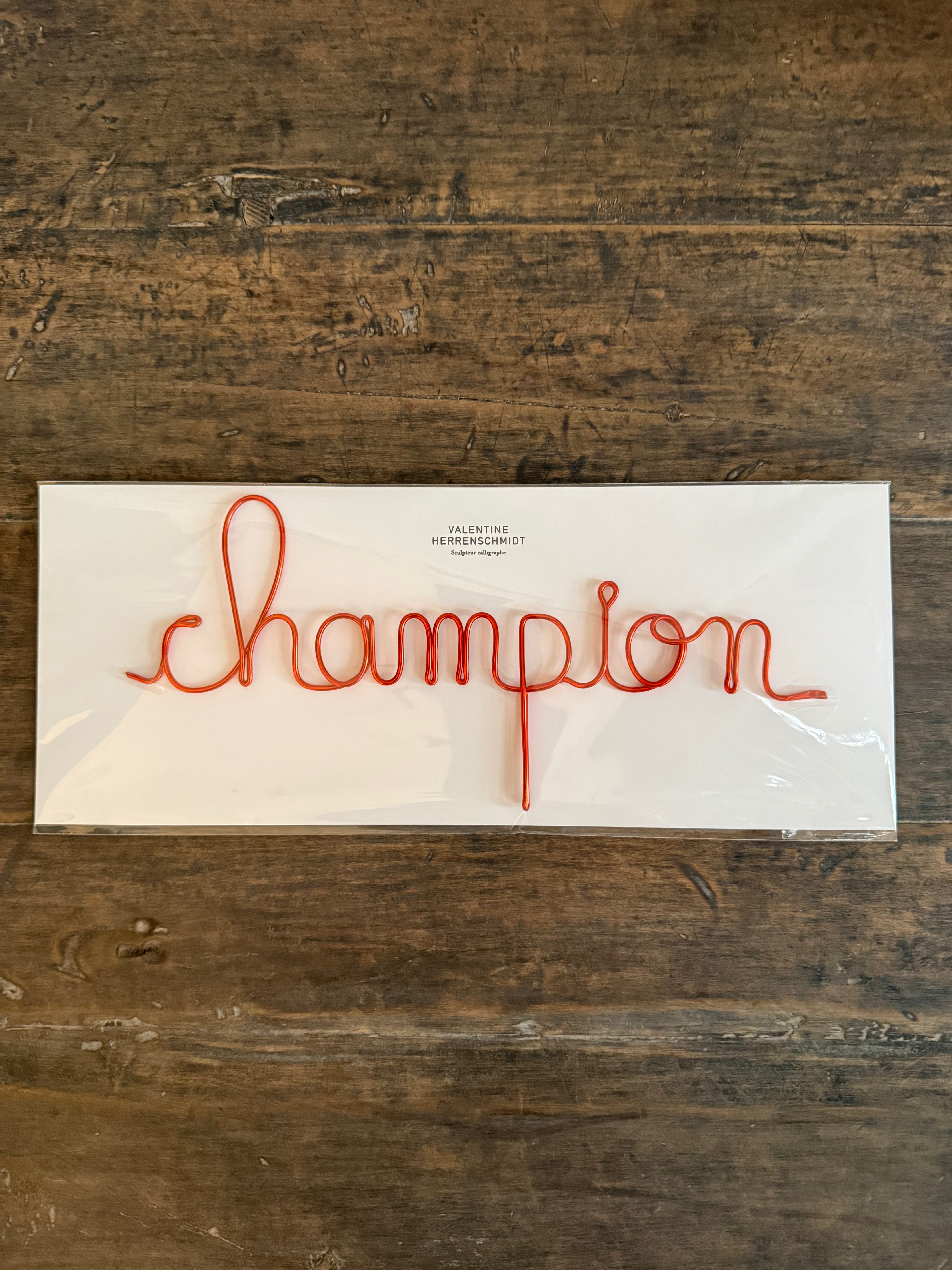 Calligraphy Word Sculpture