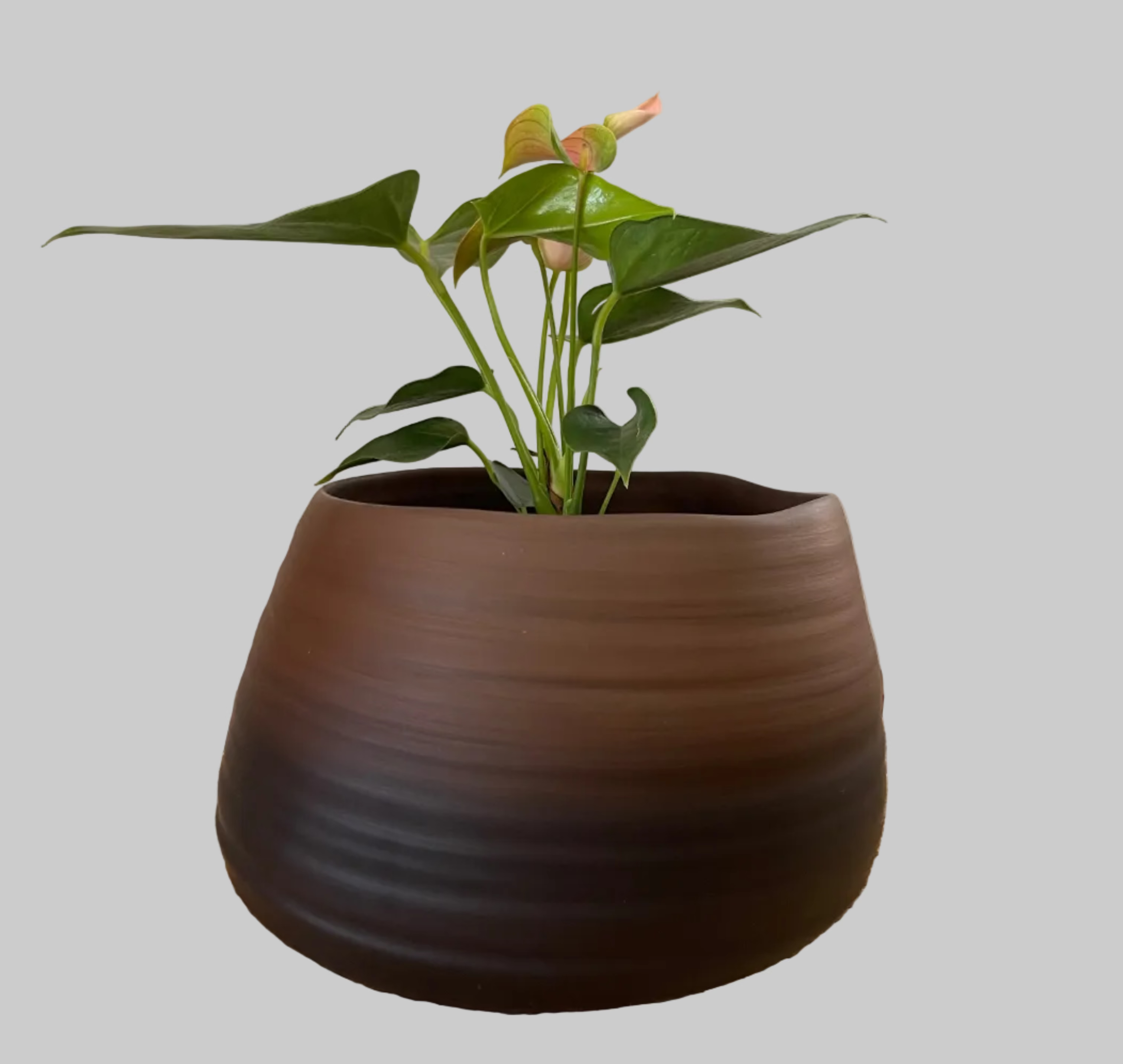 Cenote Alto 1 Ceramic Pot