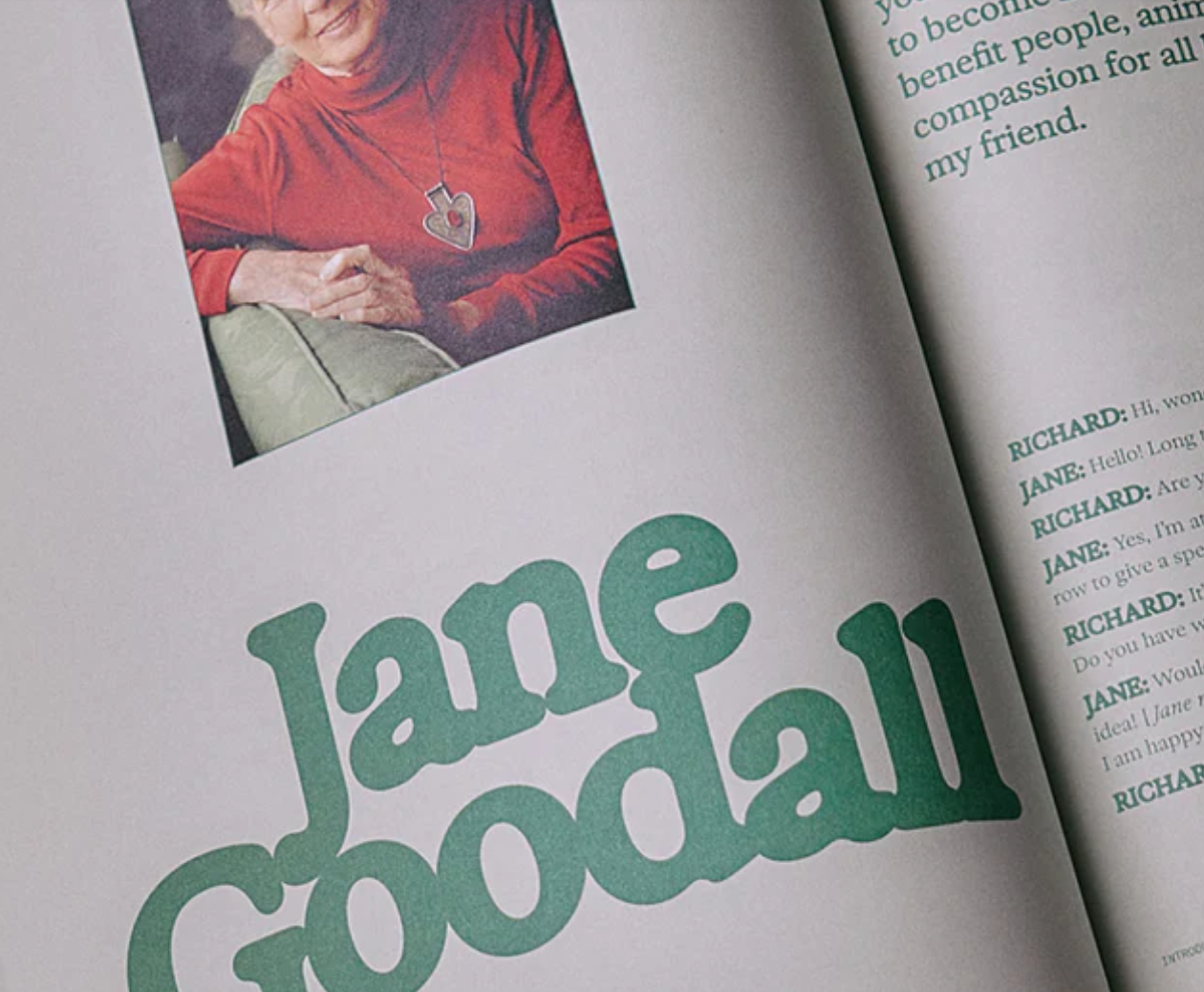 Flamingo Estate The Guide to Becoming Alive Book - Homebody Denver