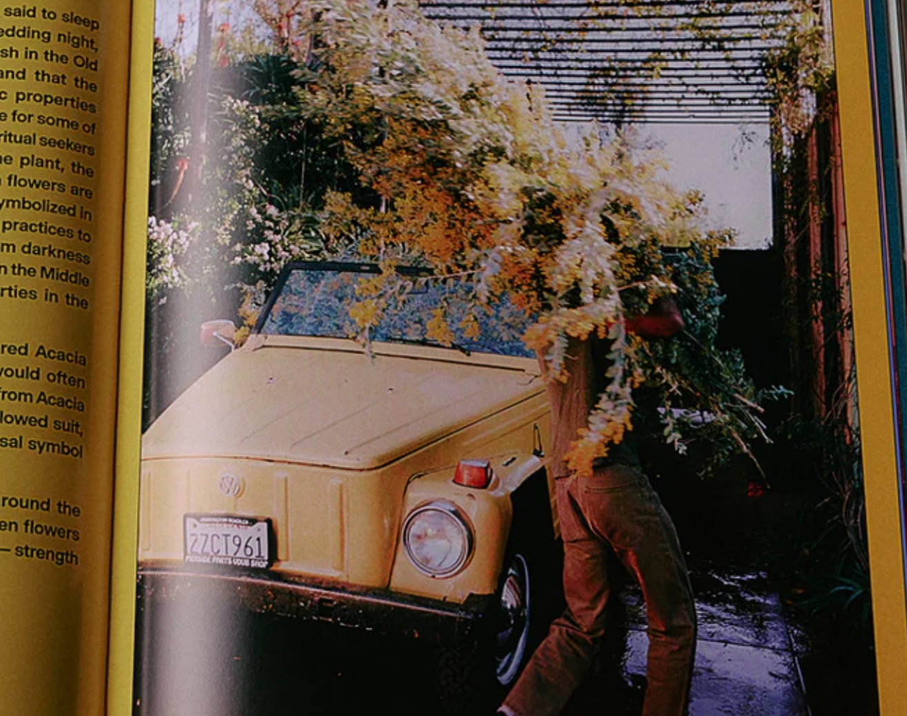 Flamingo Estate The Guide to Becoming Alive Book - Homebody Denver