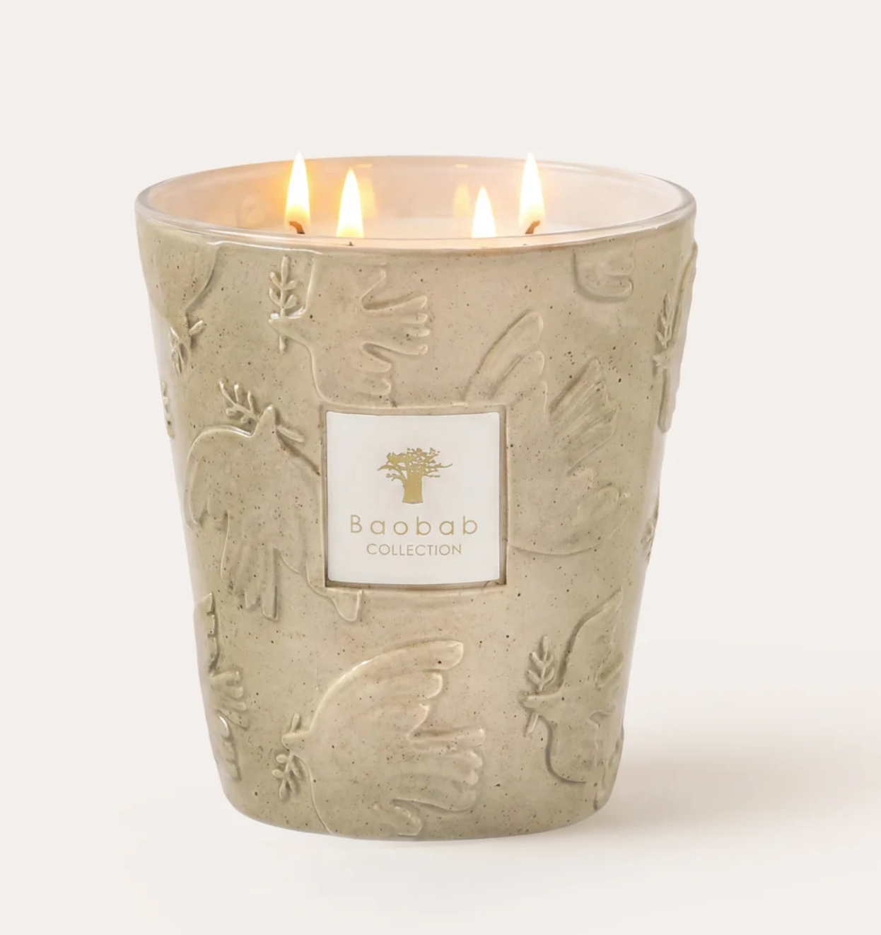 Baobab Collection Candle Paz Max 16
