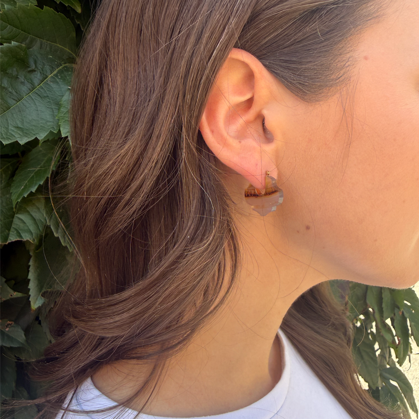 Talkative Pair of Crest Pierced Earrings in 18kt Yellow Gold with Landscape Agate