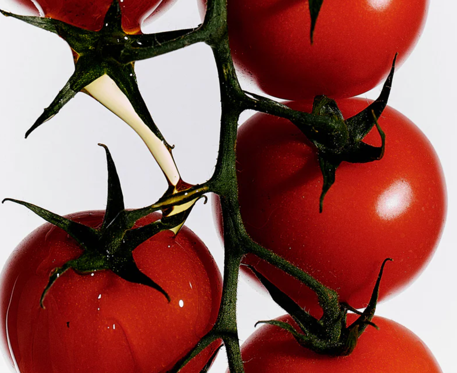 Flamingo Estate Roma Heirloom Tomato Surface Cleaner 16fl.oz.