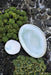 Jars Céramistes Wabi Mini Plate - Homebody Denver