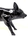 Bank in the Form of a Pig - Homebody Denver