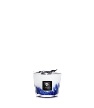 Baobab Feathers Collection Candle Max 10 - Homebody Denver