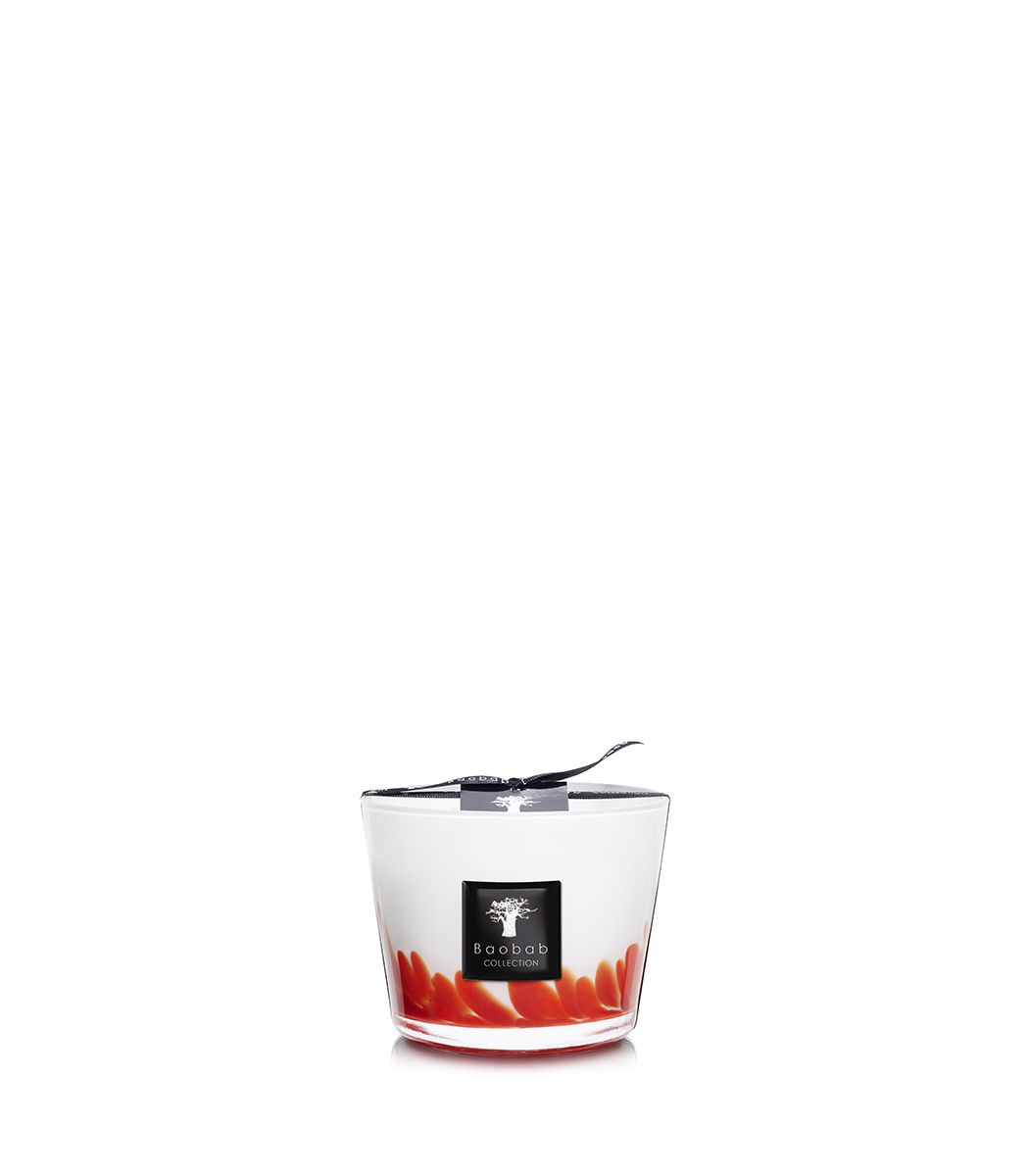 Baobab Feathers Collection Candle Max 10 - Homebody Denver