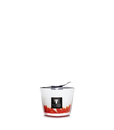 Baobab Feathers Collection Candle Max 10 - Homebody Denver
