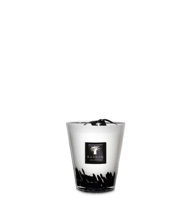 Baobab Feathers Collection Candle Max 16 - Homebody Denver