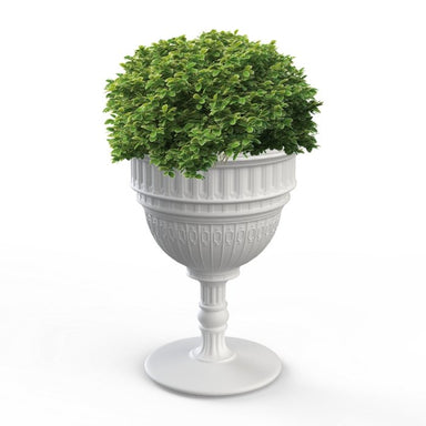 Capitol Planter or Champagne Cooler - Homebody Denver