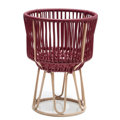 Ames Vibrant Living Circo Flower Pot Small - Homebody Denver