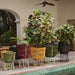 Ames Vibrant Living Circo Flower Pot Small - Homebody Denver