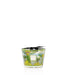 Cities Collection Candle Max 10 - Homebody Denver