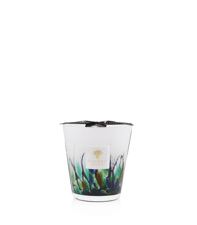 Max 16 Rainforest Collection Candle - Homebody Denver