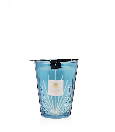 Max 24 Palm Collection Candle - Homebody Denver