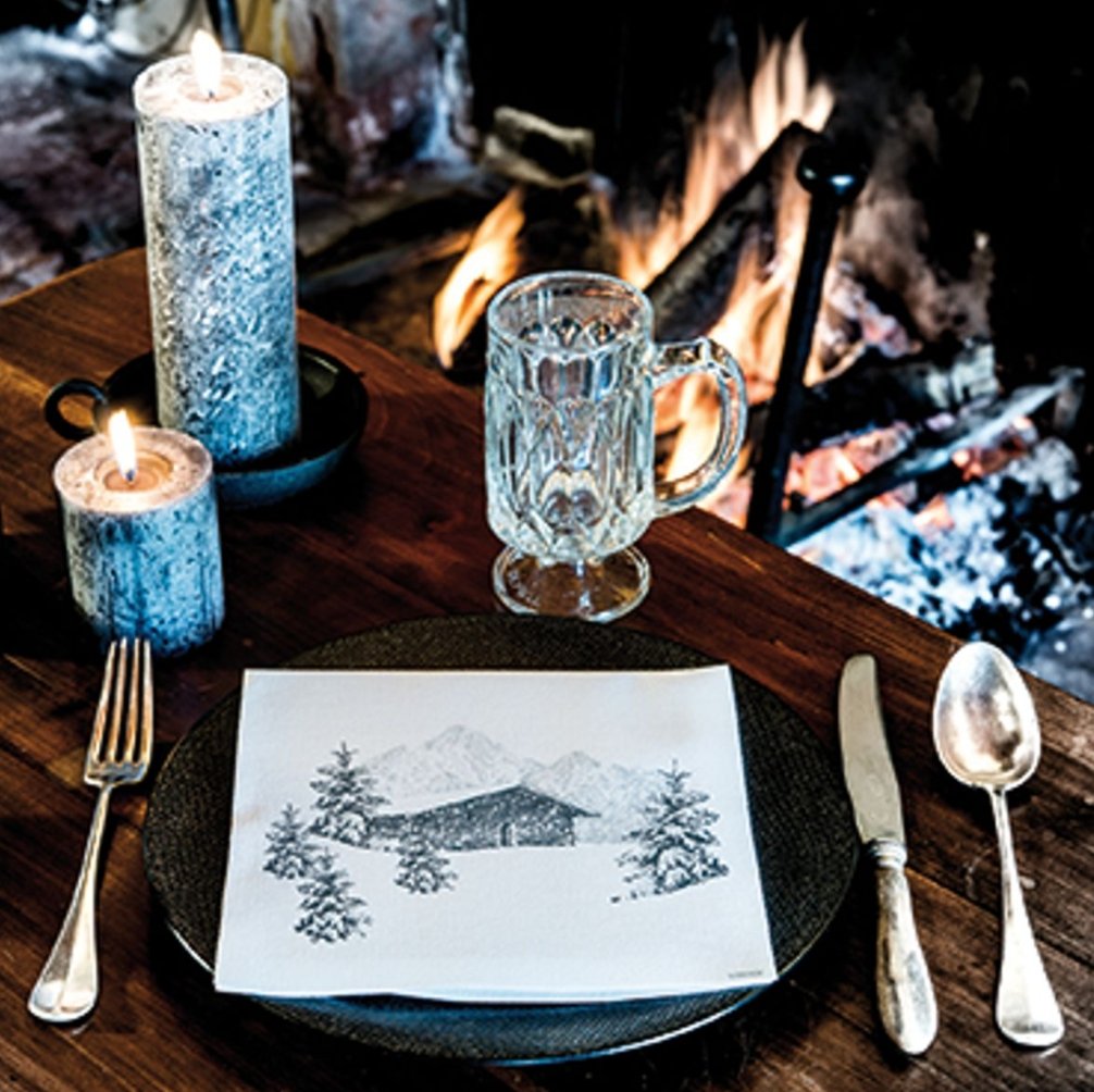 Paper Dinner Napkins - Homebody Denver