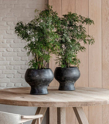 Pot Opium Small - Homebody Denver