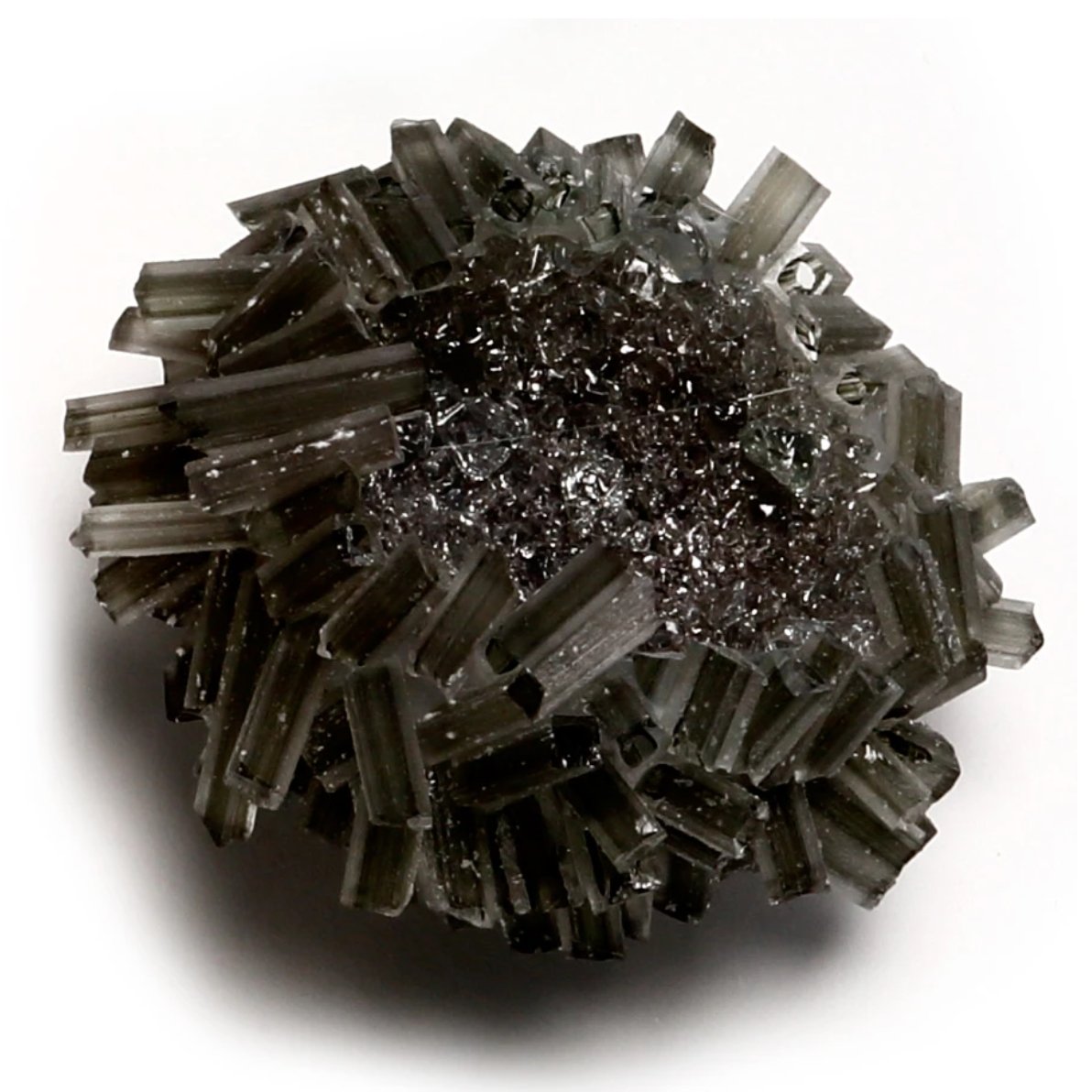 Sea Urchin Bowl Medium Grey - Homebody Denver