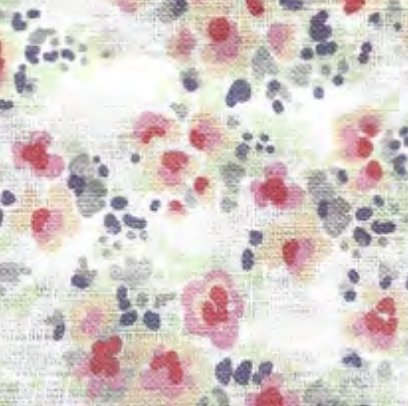 Set of 4 100% Linen Napkins - Print Collection - Homebody Denver