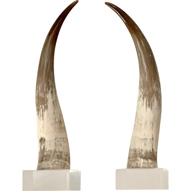 Set of Two Medium Brown/White Horns - Homebody Denver
